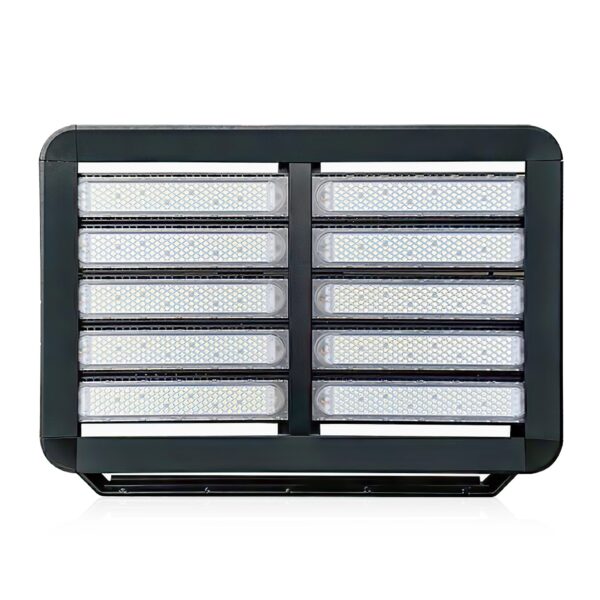 REFLECTOR PROFESIONAL 1000W