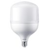 Lampara Led Botella Alta Potencia 50W 6500K 100-240V E27 Trueforce - Philips